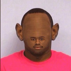 Meet your Posher, Dante